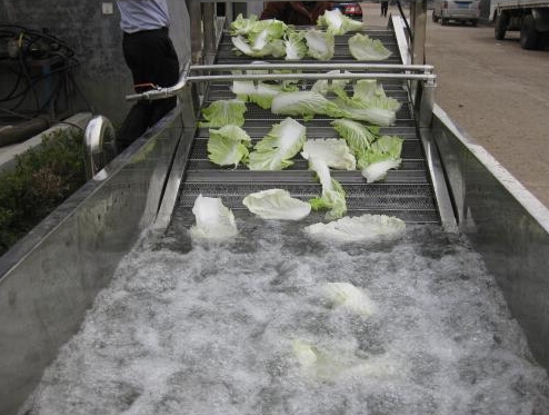 果蔬氣泡清洗機