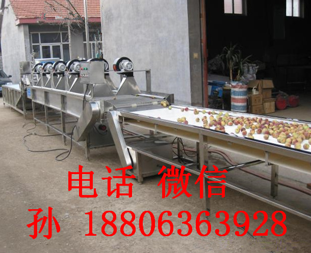 果蔬清洗機、凈菜生產(chǎn)線